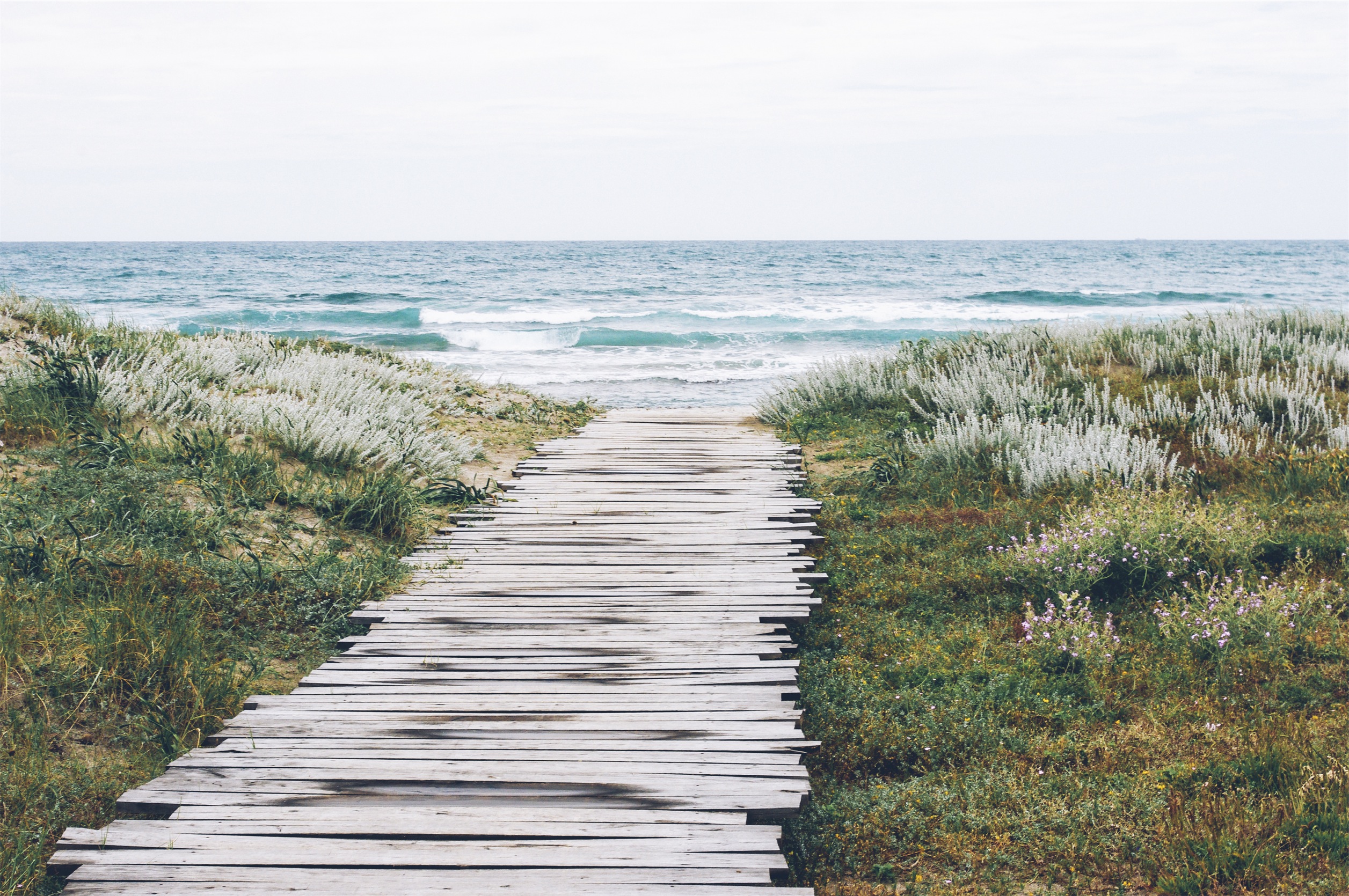 Peaceful coastal scene